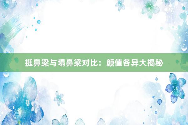 挺鼻梁与塌鼻梁对比：颜值各异大揭秘