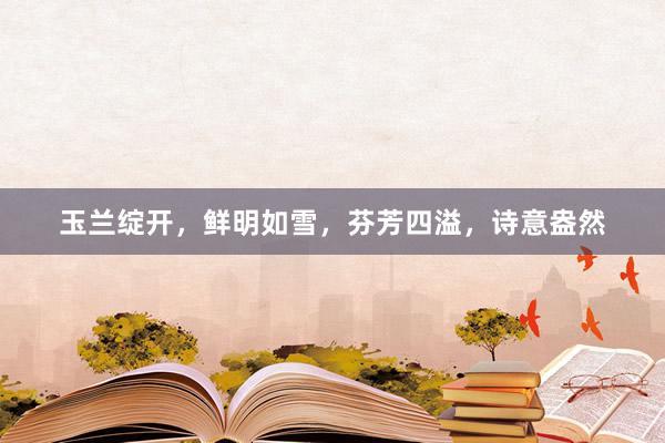 玉兰绽开，鲜明如雪，芬芳四溢，诗意盎然