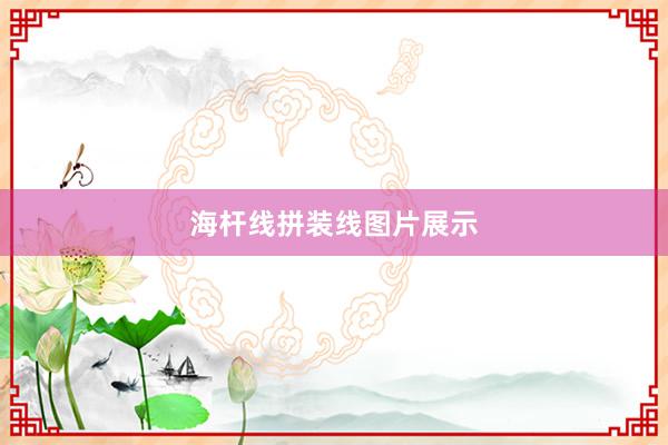 海杆线拼装线图片展示