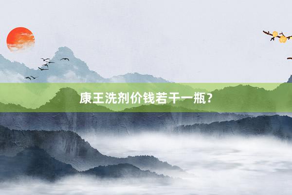 康王洗剂价钱若干一瓶？